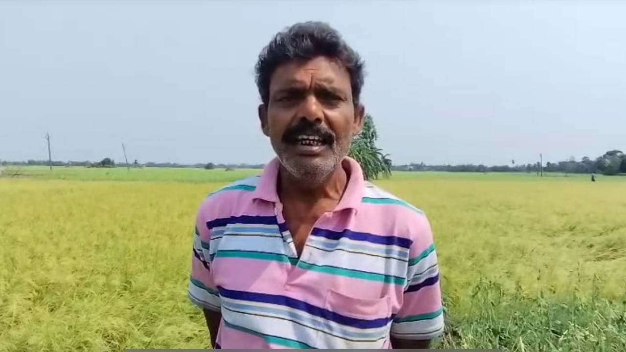 Rain in Hooghly: ধান-পাট-তিল! একরাতের শিলাবৃষ্টিতেই সব শেষ, ক্ষতিপূরণ মিলবে কি? প্রশ্ন চাষিদের Rain in Hooghly: ধান-পাট-তিল! একরাতের শিলাবৃষ্টিতেই সব শেষ, ক্ষতিপূরণ মিলবে কি? প্রশ্ন চাষিদের