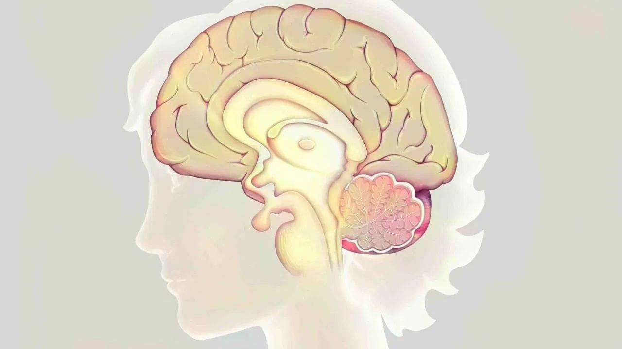 শরীরে বাড়ছে এই হরমোন? এখনই সাবধান হন, না হলে বিপদ এড়াতে পারবেন না