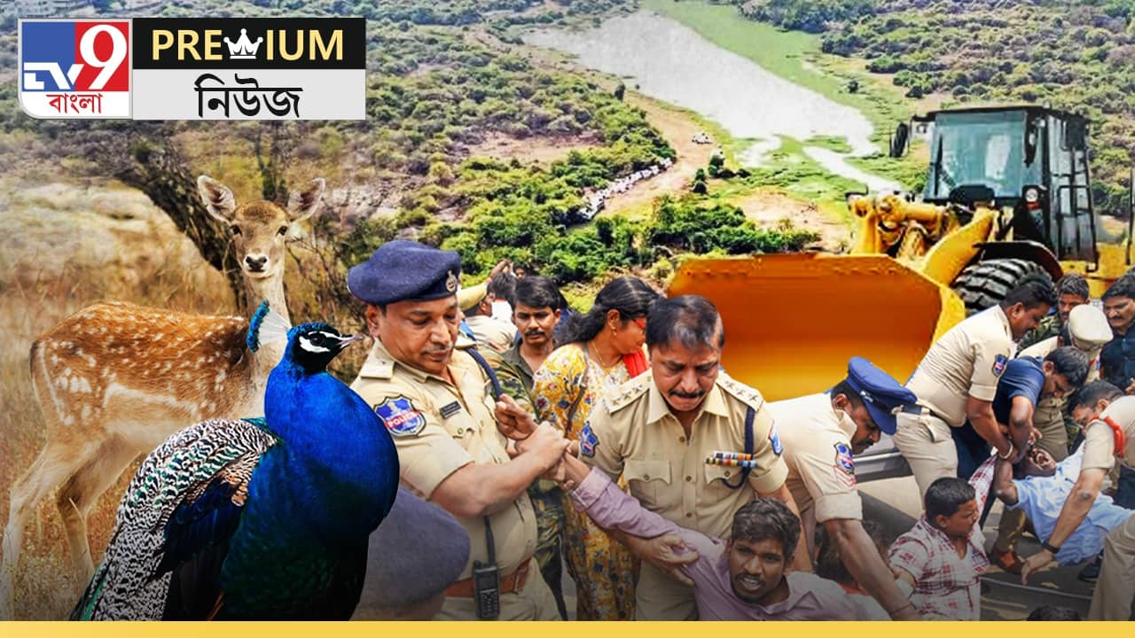 Premium on Telangana Deforestation: হরিণ-ময়ূরের কান্না কে শোনে! ৪ ডিগ্রি তাপমাত্রা বাড়বে জেনেও সবুজ ধ্বংস, কী এমন মূল্য একটা IT হাবের?