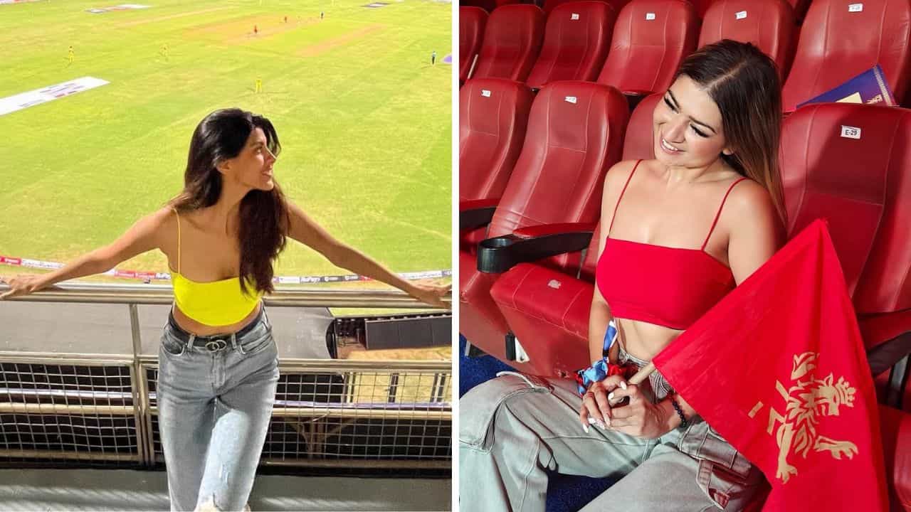 IPL: আইপিএলের ম্যাচ দেখতে গিয়েই 'সেলিব্রিটি' সুন্দরীরা! তালিকায় ঢুঁ মারতে পারেন IPL: আইপিএলের ম্যাচ দেখতে গিয়েই 'সেলিব্রিটি' সুন্দরীরা! তালিকায় ঢুঁ মারতে পারেন