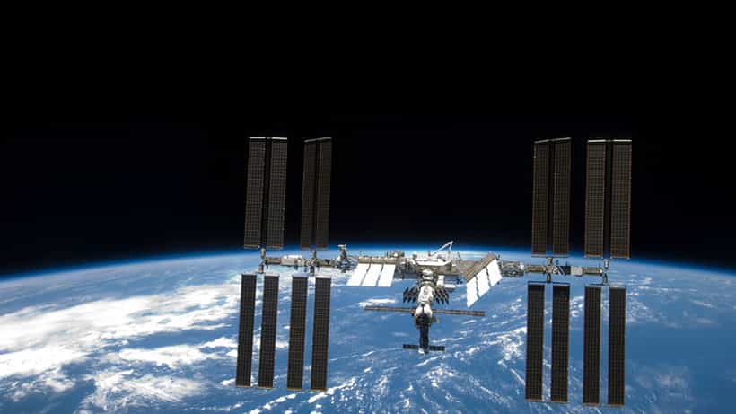 ISRO: ৫১ কোটি টাকা খরচ করে মহাকাশে ভাল্লুক পাঠাচ্ছে ISRO, সঙ্গে যাচ্ছে NASAও, কোন পরীক্ষা হবে শূন্যে?