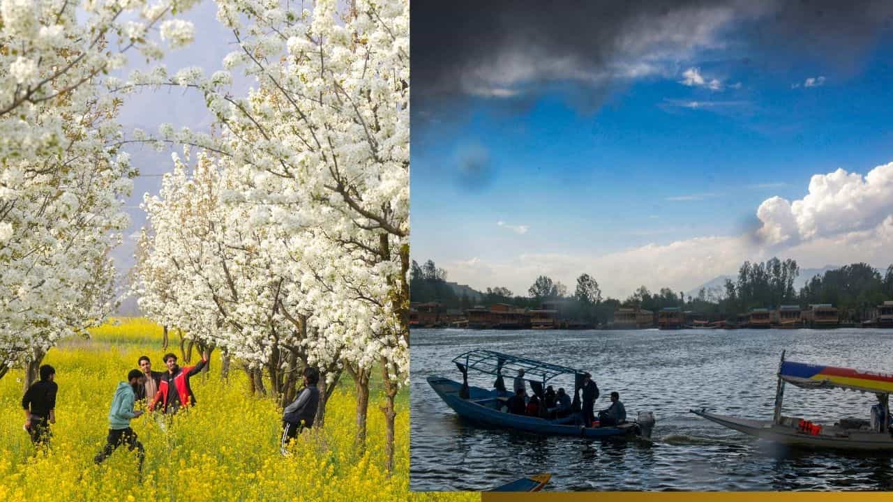 Jammu Kashmir: ক্ষতির মুখে ১২ হাজার কোটির ব্যবসা! প্রতি বছর কত পর্যটক যায় জম্মু-কাশ্মীরে? Jammu Kashmir: ক্ষতির মুখে ১২ হাজার কোটির ব্যবসা! প্রতি বছর কত পর্যটক যায় জম্মু-কাশ্মীরে?
