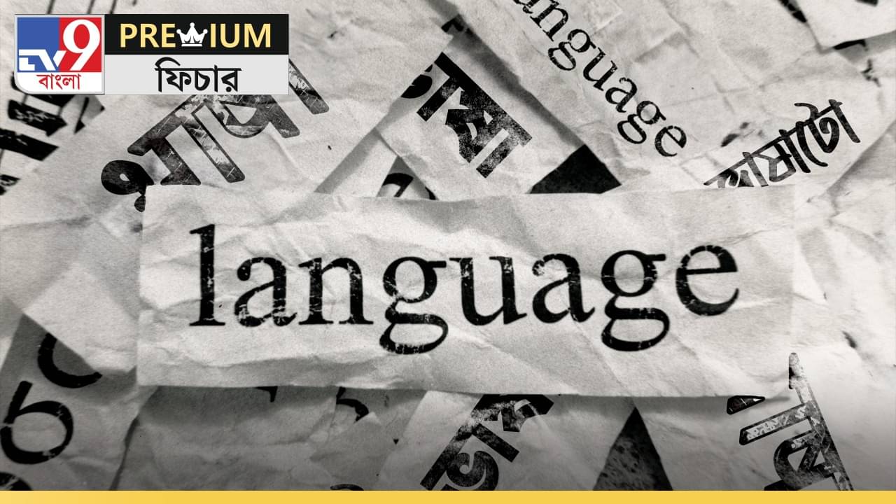 ভাষাগ্রাস: হিন্দি ভাষা খাচ্ছে বাংলা ভাষাকে, বাংলা ভাষা খাচ্ছে...