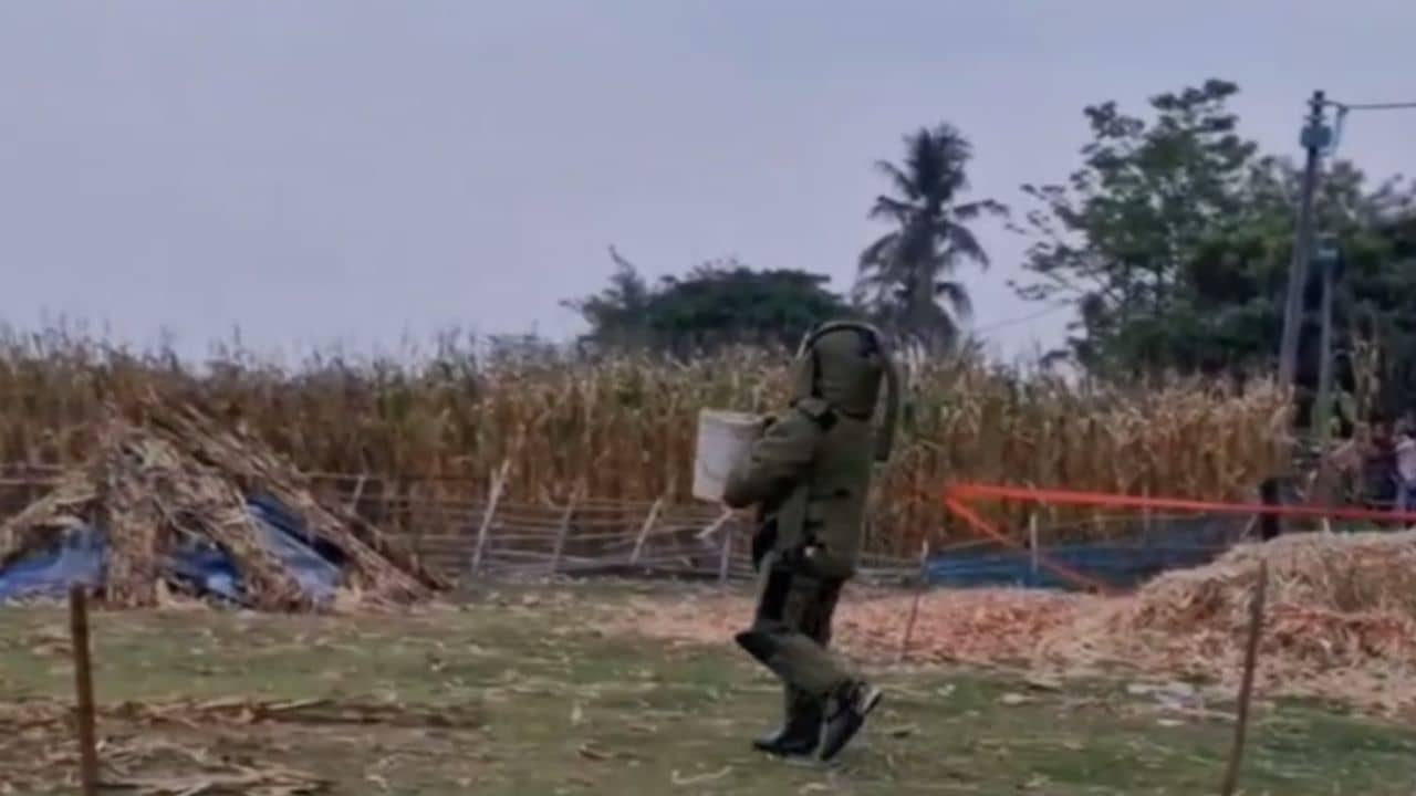 Bomb: একটা-দুটো নয়, ১৭টি কৌটো বোমা উদ্ধার হল মালদহ থেকে