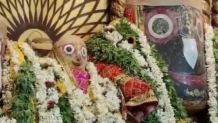 জগন্নাথদেবের চন্দনযাত্রা দেখুন জগন্নাথদেবের চন্দনযাত্রা দেখুন