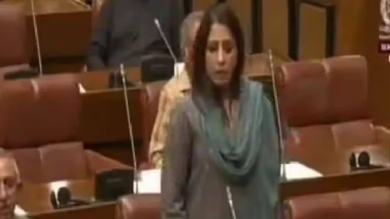 বাবরি মসজিদের প্রথম ইট গাঁথবে পাক সেনা, পাকিস্তানের স্বপ্নদোষ চরমে!