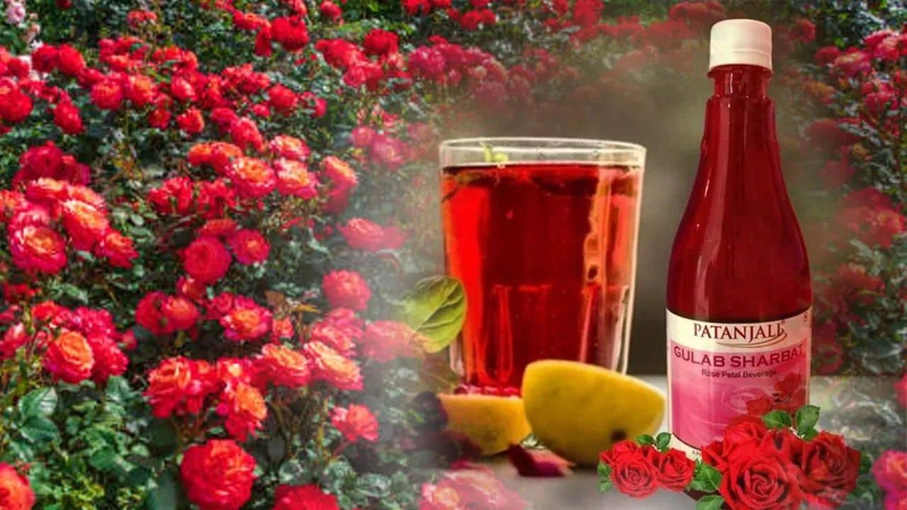 Patanjali Gulab Sharbat: কৃষকের জমি থেকে খাবার টেবিলে, বাজার বদলে দিচ্ছে পতঞ্জলির গোলাপ শরবত