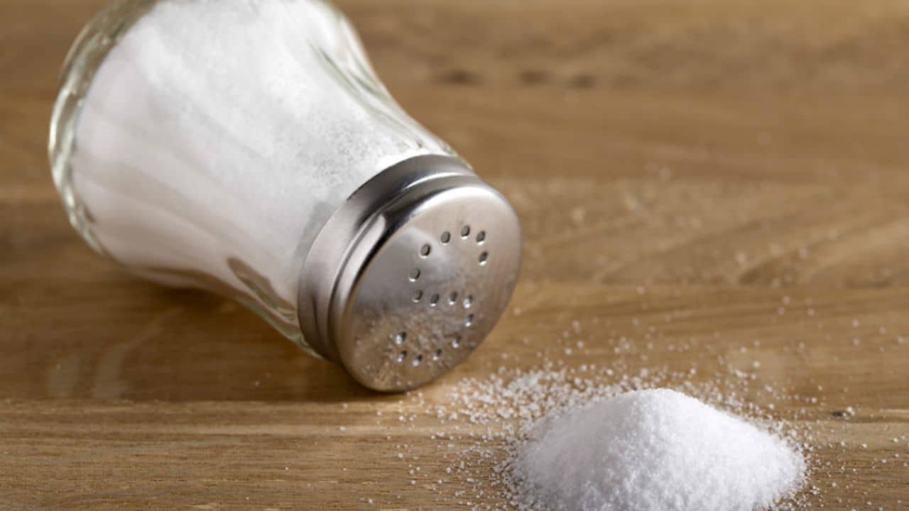 Excessive Salt Intake: প্রতিদিন কতটা নুন খাওয়া স্বাস্থ্য সম্মত? বেশি খেলে কী হয় জানেন?