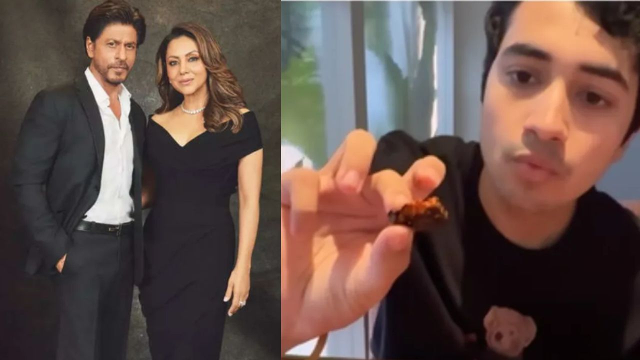 শাহরুখ-গৌরীর রেস্তরাঁয় 'নকল পনির'! খাবার মুখে পুরতেই চমকে উঠলেন জনপ্রিয় ইউটিউবার, তারপর... শাহরুখ-গৌরীর রেস্তরাঁয় 'নকল পনির'! খাবার মুখে পুরতেই চমকে উঠলেন জনপ্রিয় ইউটিউবার, তারপর...