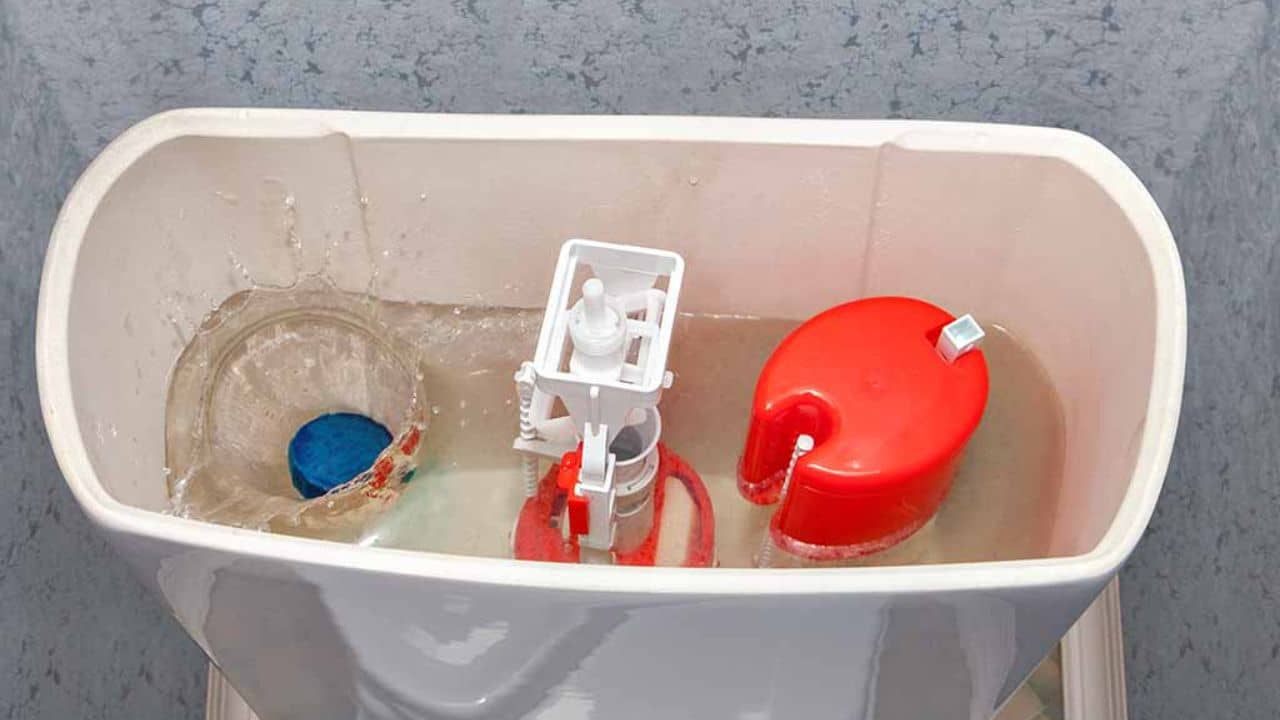 Daily Life Hacks: কমোড পরিষ্কার করা সহজ, কিন্তু ১০ মিনিটে কী ভাবে সিস্টার্ন চকচকে হয়ে উঠবে জানেন?