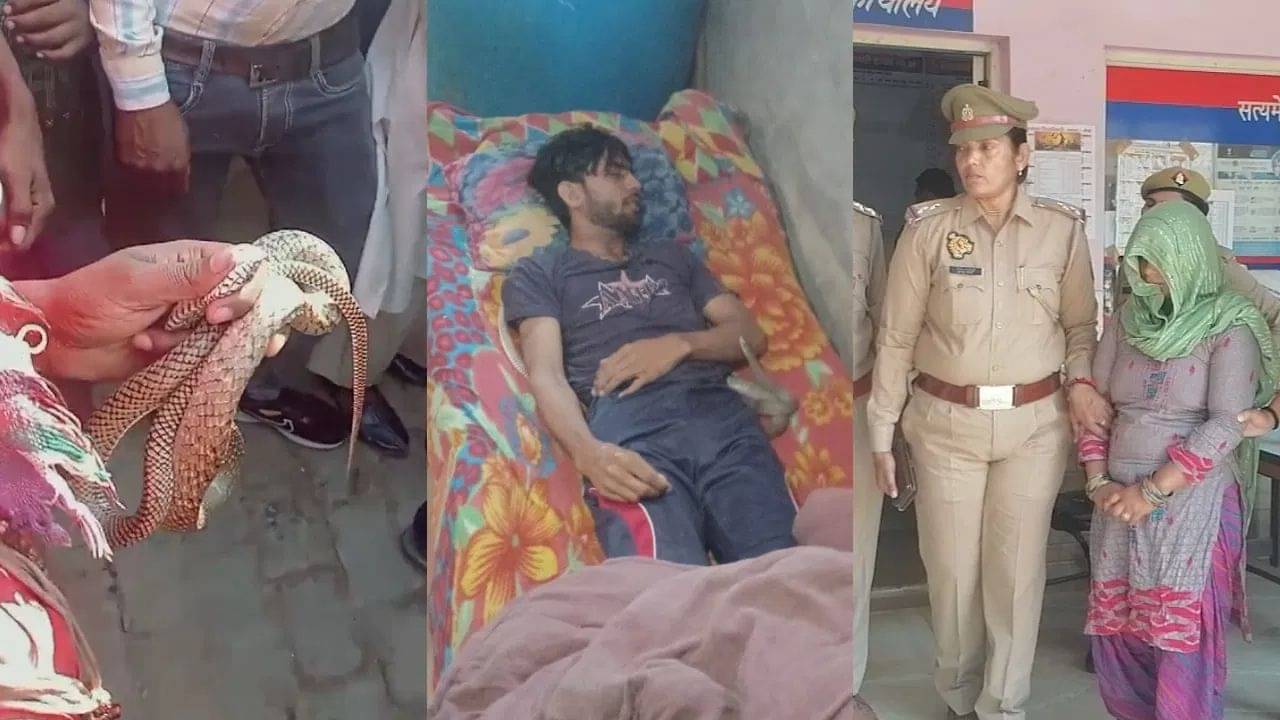 Uttar Pradesh: খুন করে, স্বামীর বিছানায় সাপ ছেড়ে দিল স্ত্রী! ভয়ঙ্কর পরিকল্পনা, শুনলে গায়ে কাঁটা দেবে