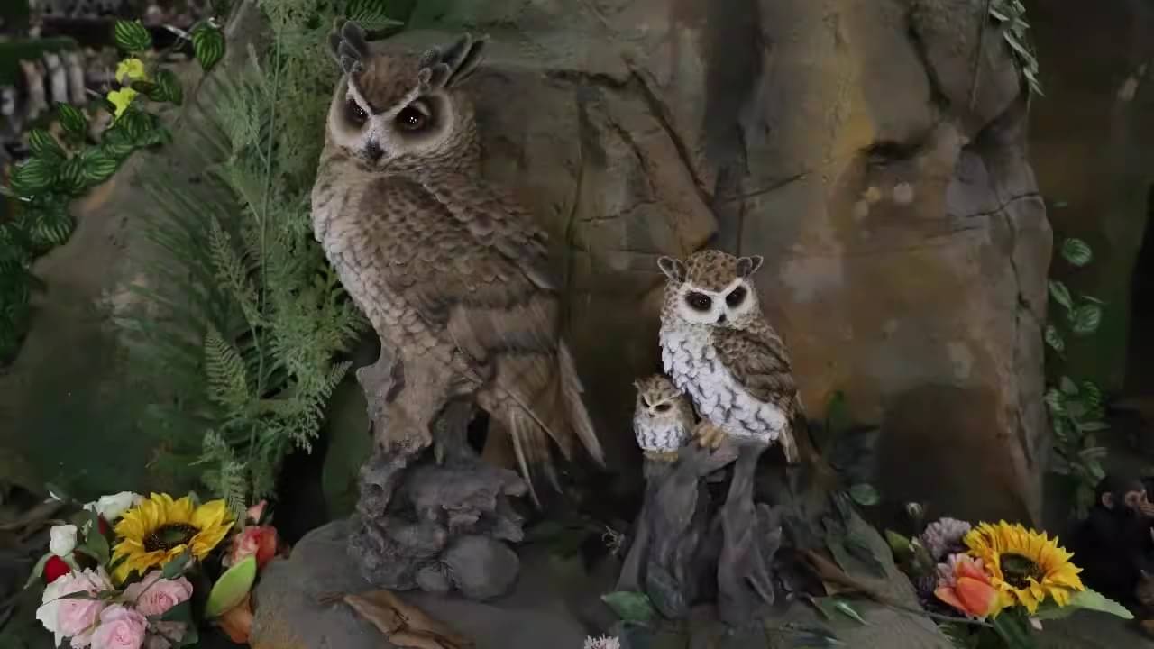 বাড়িতে পেঁচার মূর্তি রাখাছেন? জানেন এর সঠিক নিয়ম!