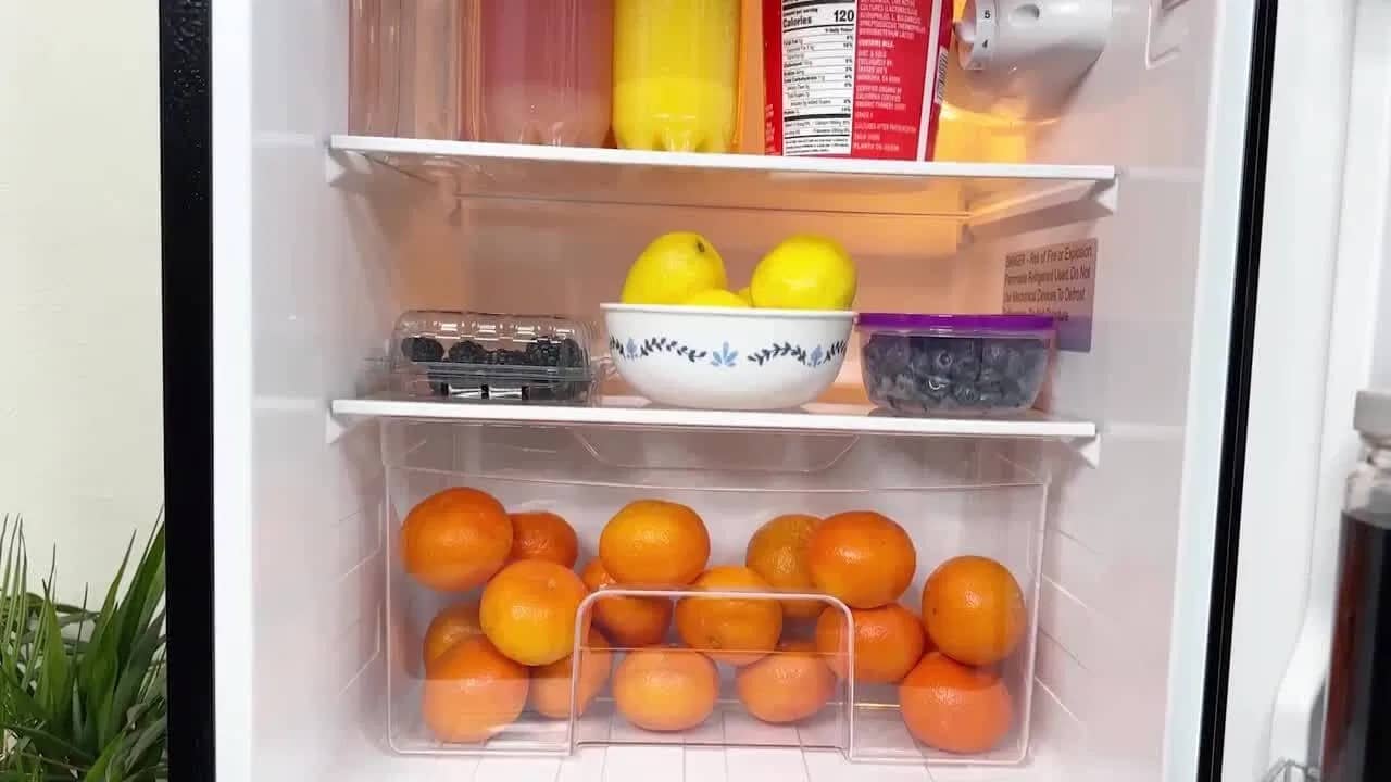 ফ্রিজে ময়লা বা দুর্গন্ধের সমস্যা! সমস্যার সমাধানে একটুকরো লেবুই যথেষ্ট