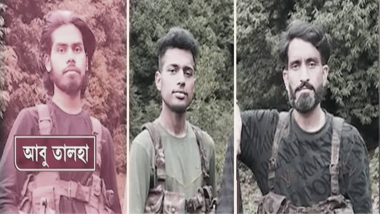 Pakistan Deputy PM on Pahalgam Attack: দ্বিচারিতার চরম নজির, জঙ্গিদের স্বাধীনতা সংগ্রামী ঘোষণা পাকিস্তানের