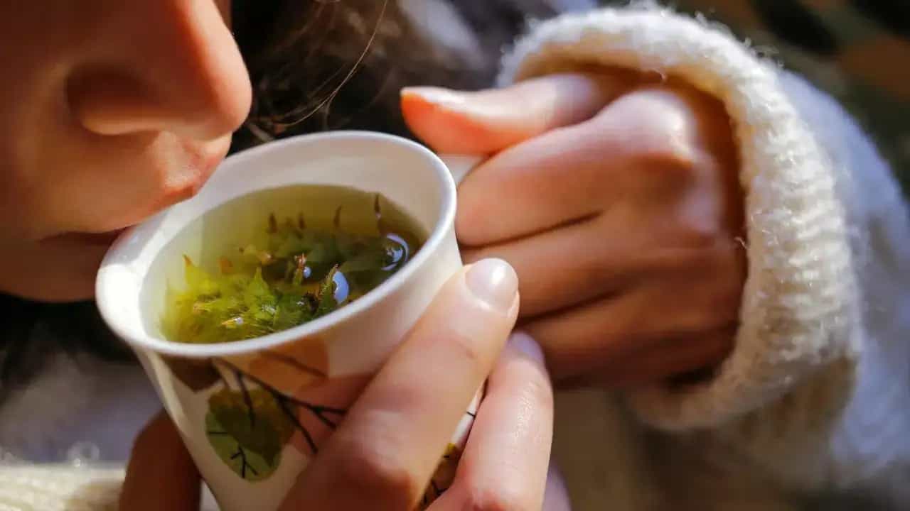 গরমে তৈলাক্ত ত্বকের সমস্যা! চা-ই সমস্যার সমাধানের রাস্তা গরমে তৈলাক্ত ত্বকের সমস্যা! চা-ই সমস্যার সমাধানের রাস্তা