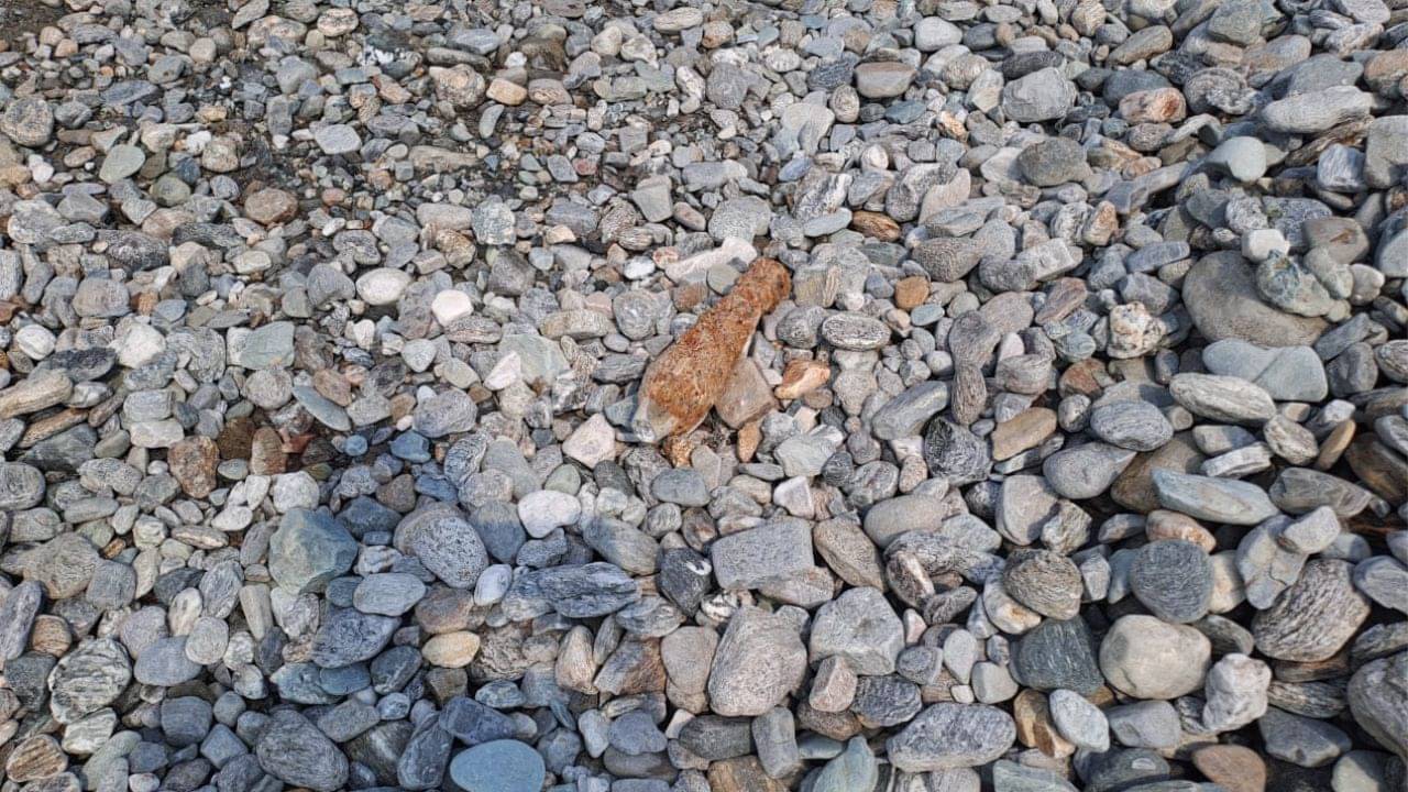 Coochbehar: আবারও মর্টার শেল মিলল কোচবিহারে, হইচই কাণ্ড