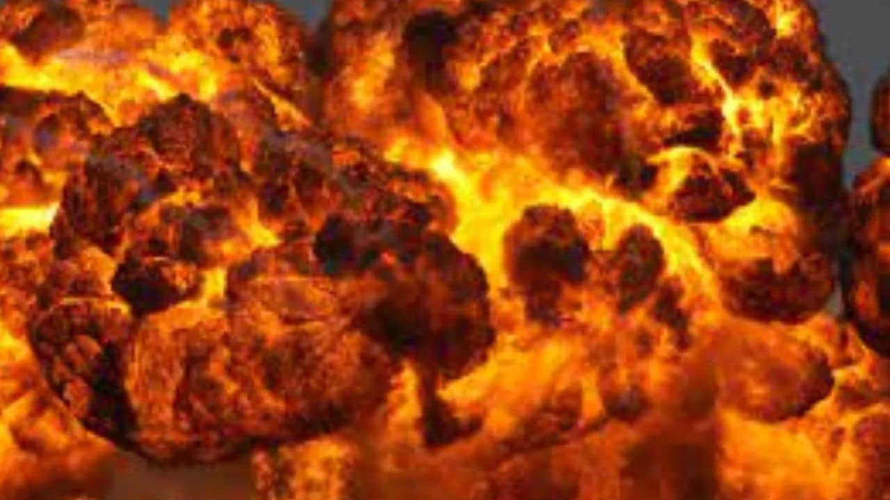 Explosion in fireworks plant: আতশবাজি তৈরির কারখানায় বিস্ফোরণ, মৃত ৮ শ্রমিক