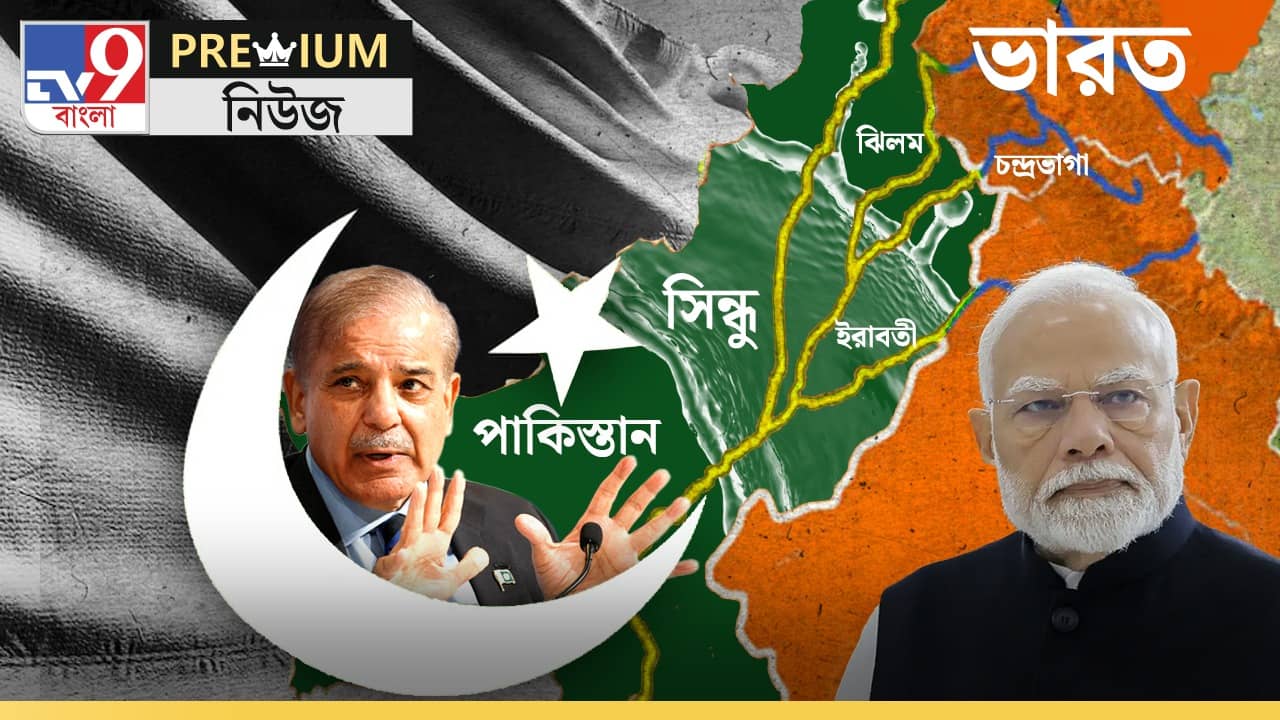 Explained: সিন্ধু দিয়েই ভারতের বিন্দু বিন্দু প্রতিশোধ, কীভাবে জানুন