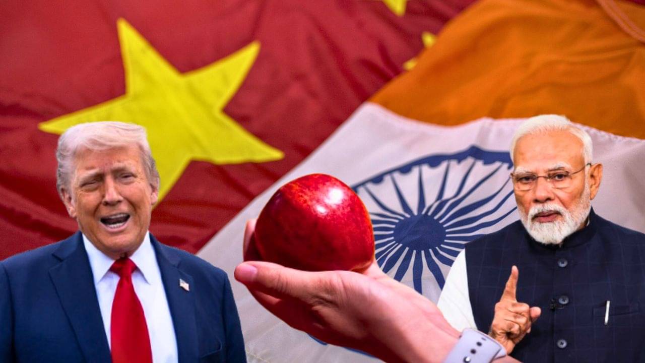 India Apple Production: ট্রাম্পের শুল্কযুদ্ধে আপেল খাবে ভারত! তাকিয়ে দেখবে চিন...