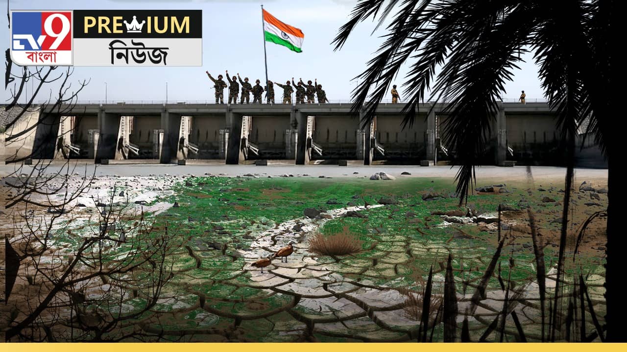 Explained: ভারত জলপথ বন্ধ করলেই তেল শুকিয়ে যাবে পাকিস্তানের, কীভাবে?