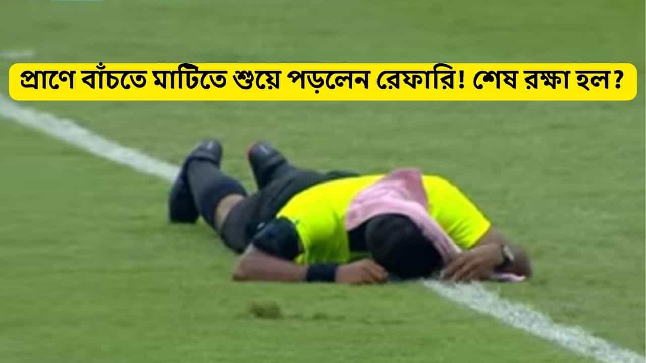 Super Cup: স্টেডিয়ামে মৌমাছিদের দাদাগিরি! আক্রান্ত রেফারি, পালিয়ে বাঁচলেন সমর্থকরা... Super Cup: স্টেডিয়ামে মৌমাছিদের দাদাগিরি! আক্রান্ত রেফারি, পালিয়ে বাঁচলেন সমর্থকরা...