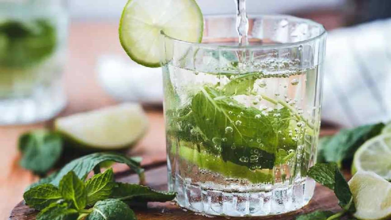 খাওয়ার জলে ফেলে দিন এই পাতা, ওষুধের খরচা সেভিংস অ্যাকাউন্টে ঢুকবে!