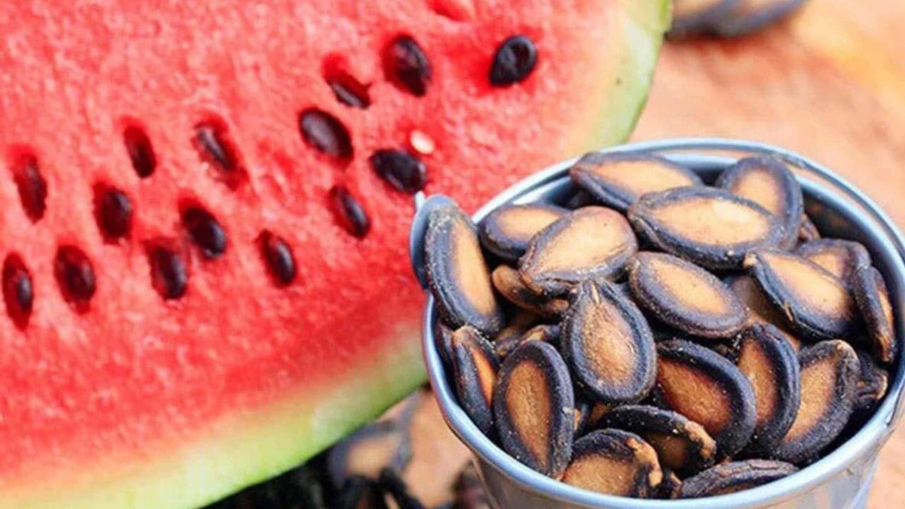 ভুল করে তরমুজের বীজ খেয়ে ফেলেছেন! জানেন শরীরের ভিতর কী কী ঘটবে?