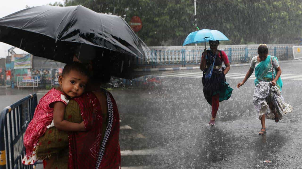 Weather Update Today: বিকাল থেকেই ঘুরবে হাওয়া! ছুটি 'ভাসাতে' কিছুক্ষণেই আসছে বৃষ্টি Weather Update Today: বিকাল থেকেই ঘুরবে হাওয়া! ছুটি 'ভাসাতে' কিছুক্ষণেই আসছে বৃষ্টি