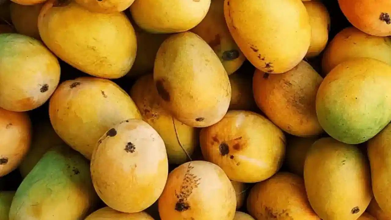 এখানেই হল যত গোলমাল। কিছু অসাধু ব্যবসায়ী, ঠিক এই সুযোগটাকেই কাজে লাগান। হিমসাগর বলে ল্যাংড়া, বা ছোট আকারের ফজলি আম চালিয়ে দেন। কখনও কখনও আবার জোয়ান বা অন্য প্রজাতির আমকেও হিমসাগর বলে চালিয়ে দিয়ে লোক ঠকান।