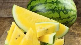 লাল নয়, গরমে খান হলুদ তরমুজ! কেন জানলে প্রতিদিন নিয়ে আসবেন