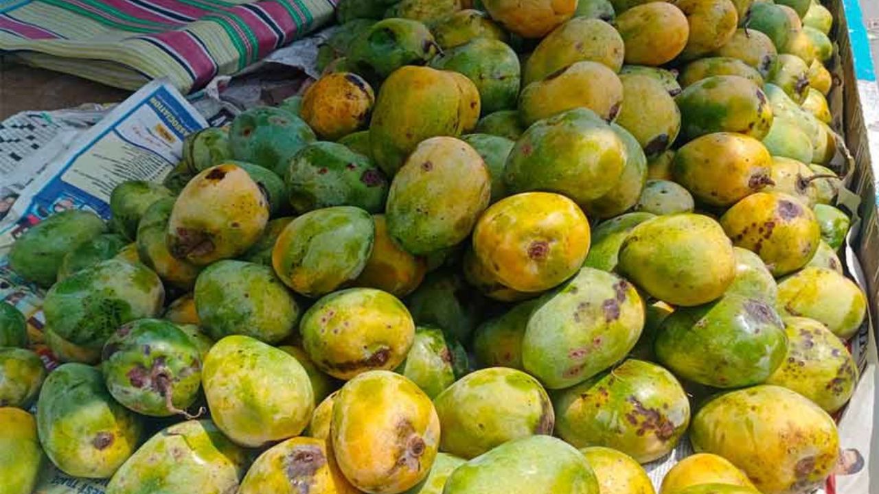 গোপালভোগ: এই আম মে মাসের দ্বিতীয় সপ্তাহ থেকে বাজারে আসে। এর সবুজ রঙের খোসার গায়ে থাকে, হলুদ দাগ। আমটি পাকার পর হলুদ হয়ে যায়। শোনা যায় এই আমের চাষ বাংলাদেশে শুরু হয়েছিল। সেখানে নরহাট্টার গোপাল নামের এক ব্যক্তি এই আমের চাষ প্রথমে শুরু করেন। সেখান থেকেই এই নামকরণ।