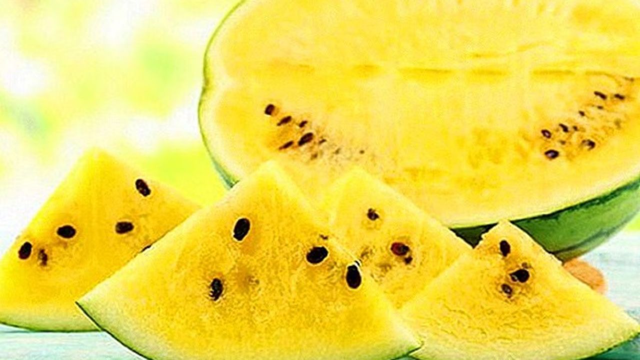 শরীরে শীতলতা এবং জলীয়তা প্রদান করে - ঘামের কারণে গরমে শরীর থেকে জলের ক্ষয় হয়। হলুদ তরমুজ প্রায় ৯০-৯২% জলে ভরা থাকে, যার কারণে এটি শরীরকে ঠান্ডা রাখে এবং জলশূন্যতা রোধ করে। যারা বাইরে রোদে কাজ করেন অথবা যারা প্রচণ্ড গরমে বিরক্ত তাদের জন্য এটি বিশেষভাবে উপকারী।