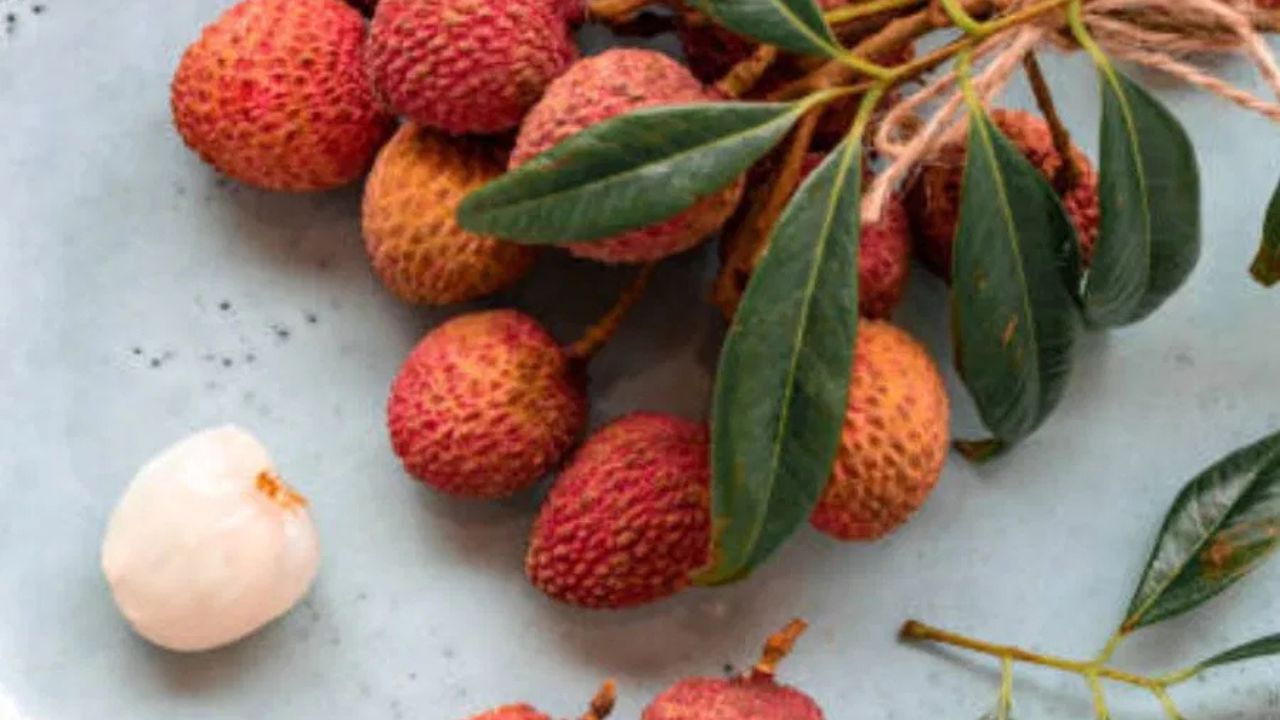 লিচুর অনেক পুষ্টিগুণের একটি হল ফাইবার। ফাইবারের কাজ হল হজমশক্তি উন্নত করা। যার কারণে আমাদের বদহজম, কোষ্ঠকাঠিন্যের মতো সমস্যা হয় না। লিচু খেলে ক্যালোরি কমে। ফাইবার বেশি থাকে যা বিপাকহার বাড়িয়ে তোলে। ওজন নিয়ন্ত্রণে সাহায্য করে। ওজন কমাতে চাইলে লিচু খেতে পারেন।
