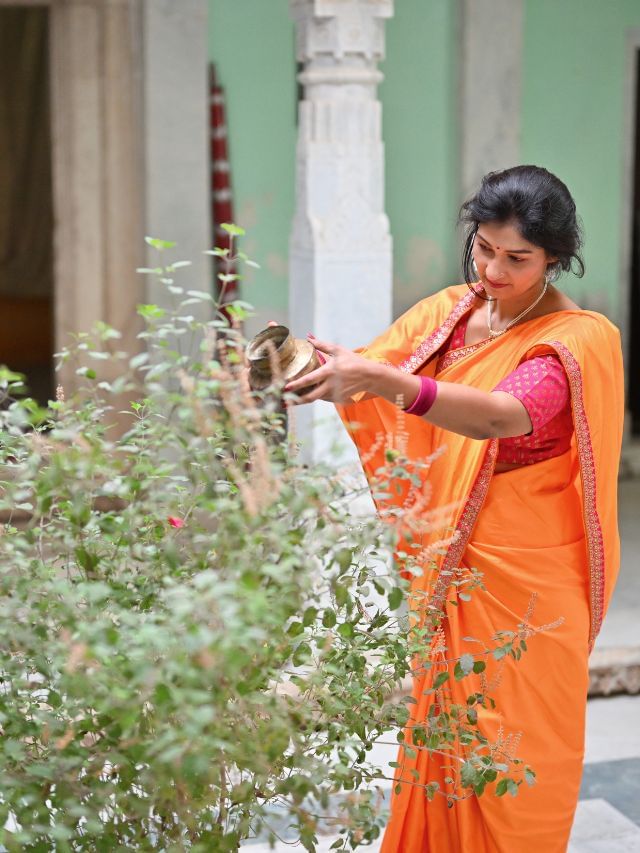 এদিন তুলসী গাছে ভুলেও জল নয়, দিলেই অমঙ্গল ধেঁয়ে আসবে! এদিন তুলসী গাছে ভুলেও জল নয়, দিলেই অমঙ্গল ধেঁয়ে আসবে!
