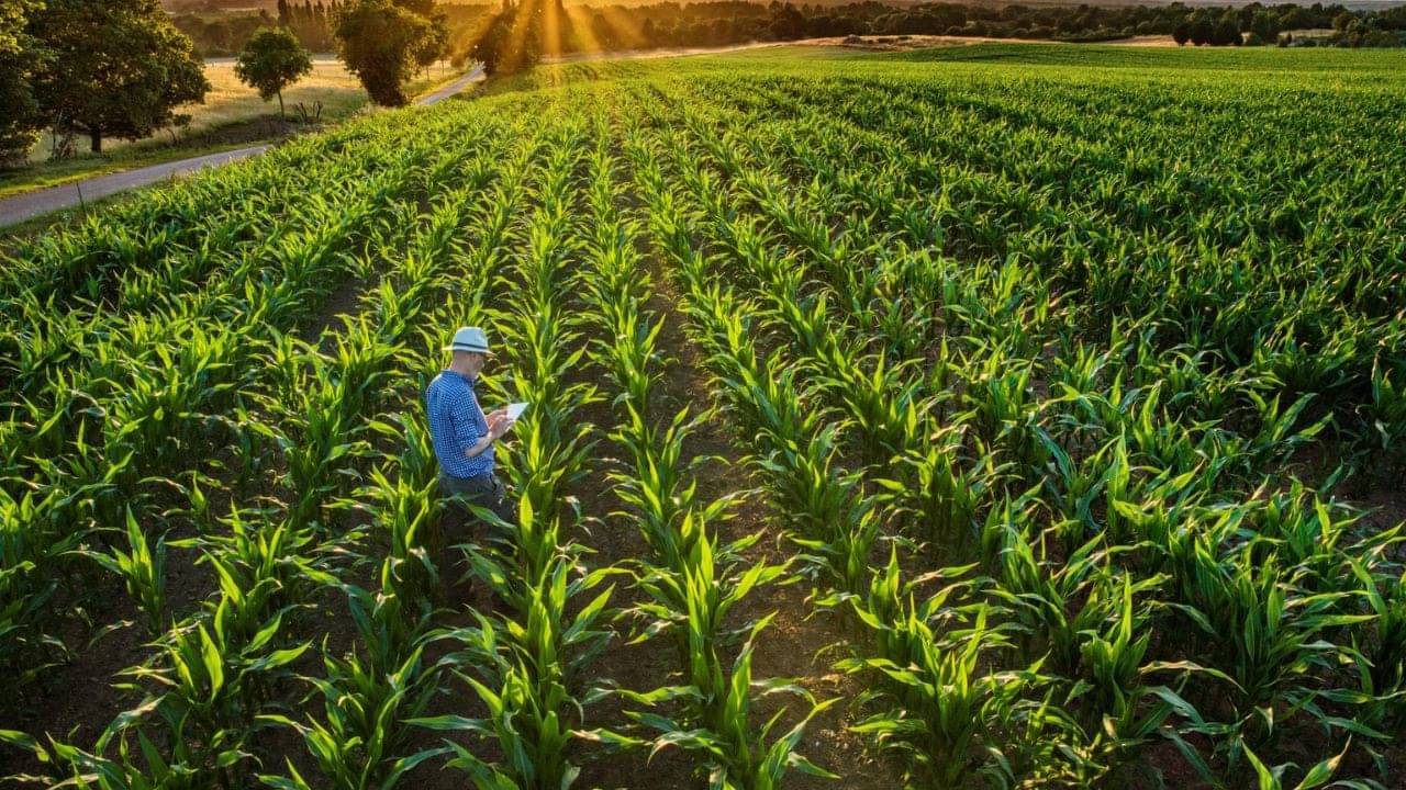 Agricultural Science: এগ্রিকালচার সায়েন্স নিয়ে পড়াশোনা করলে রয়েছে দুর্দান্ত কেরিয়ারের সুযোগ! জানুন কীভাবে
