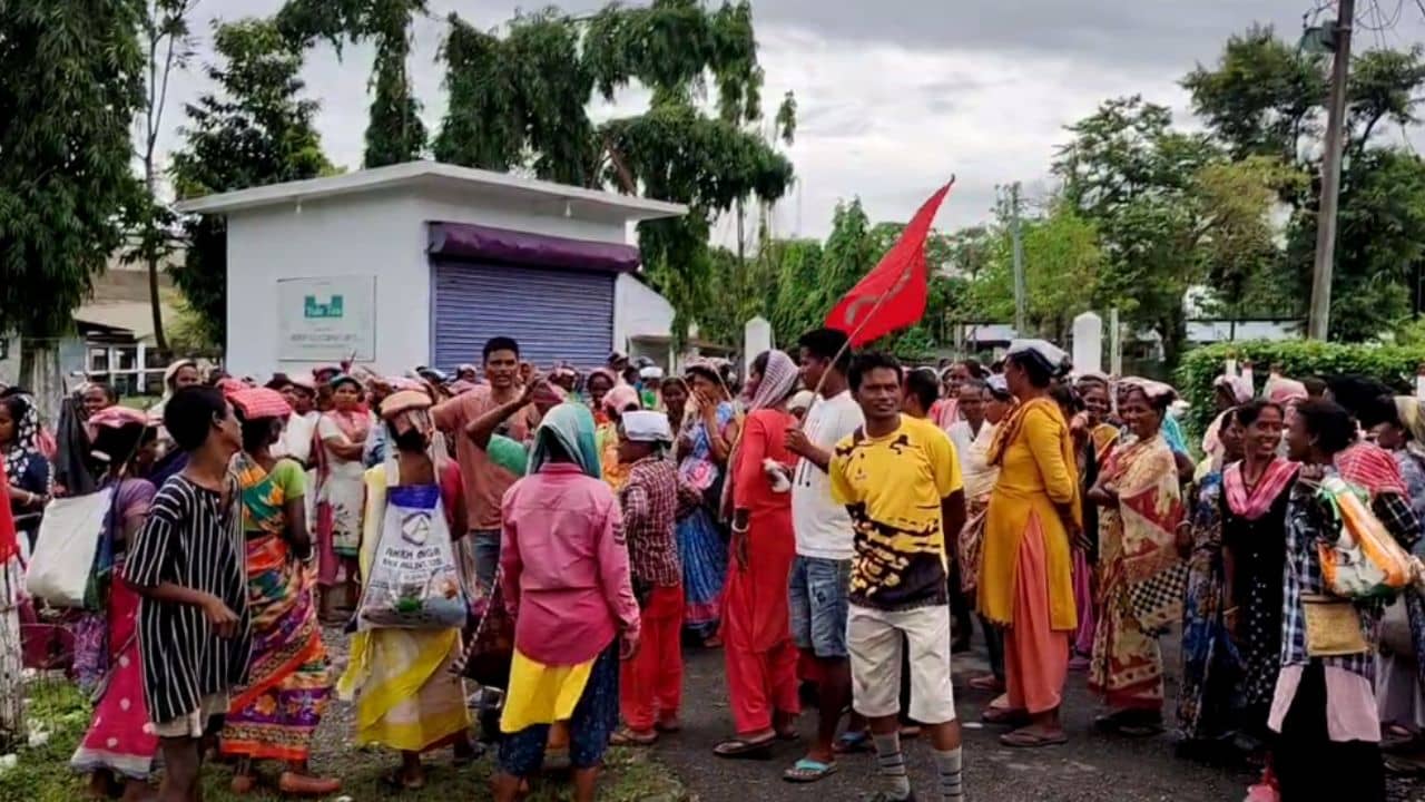 Tea Garden Protest: বঙ্গে মোদী ঢোকার আগে বকেয়া বেতনের দাবিতে চা বাগানে বিক্ষোভ