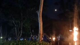 চাঁদের আলোয় ঝলমলে 'মুনলাইট টি' চাঁদের আলোয় ঝলমলে 'মুনলাইট টি'