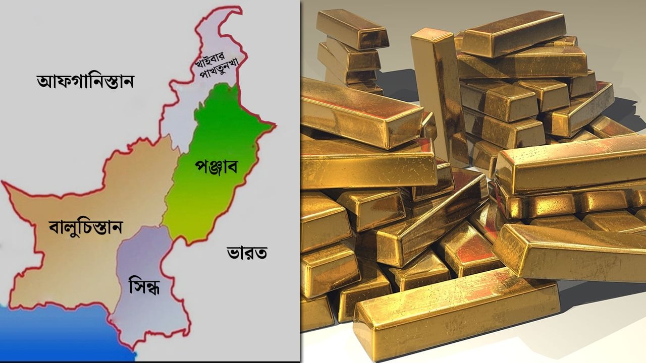 Balochistan: বালুচিস্তান না থাকলে সত্যি সত্যিই ভিখারি হয়ে যাবে পাকিস্তান! কীভাবে জানুন Balochistan: বালুচিস্তান না থাকলে সত্যি সত্যিই ভিখারি হয়ে যাবে পাকিস্তান! কীভাবে জানুন