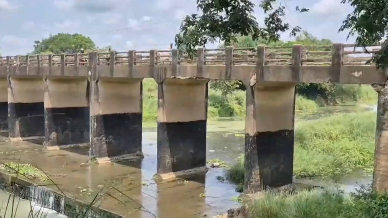 Bankura Bridge: দুলছে সেতু, বন্যার পর থেকেই অবস্থা বেহাল! তারপরেও কমছে না ট্রাকের দৌরাত্ম্য, মৃত্যুভয়ে কাঁটা গোটা এলাকা