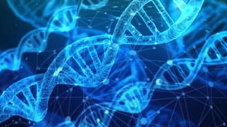 Biotechnology: হুড়হুড় করে বাড়ছে বায়োটেকনলজির শিক্ষার্থীদের চাহিদা, আকর্ষণীয় কেরিয়ারের হাতছানি! জানুন কীভাবে