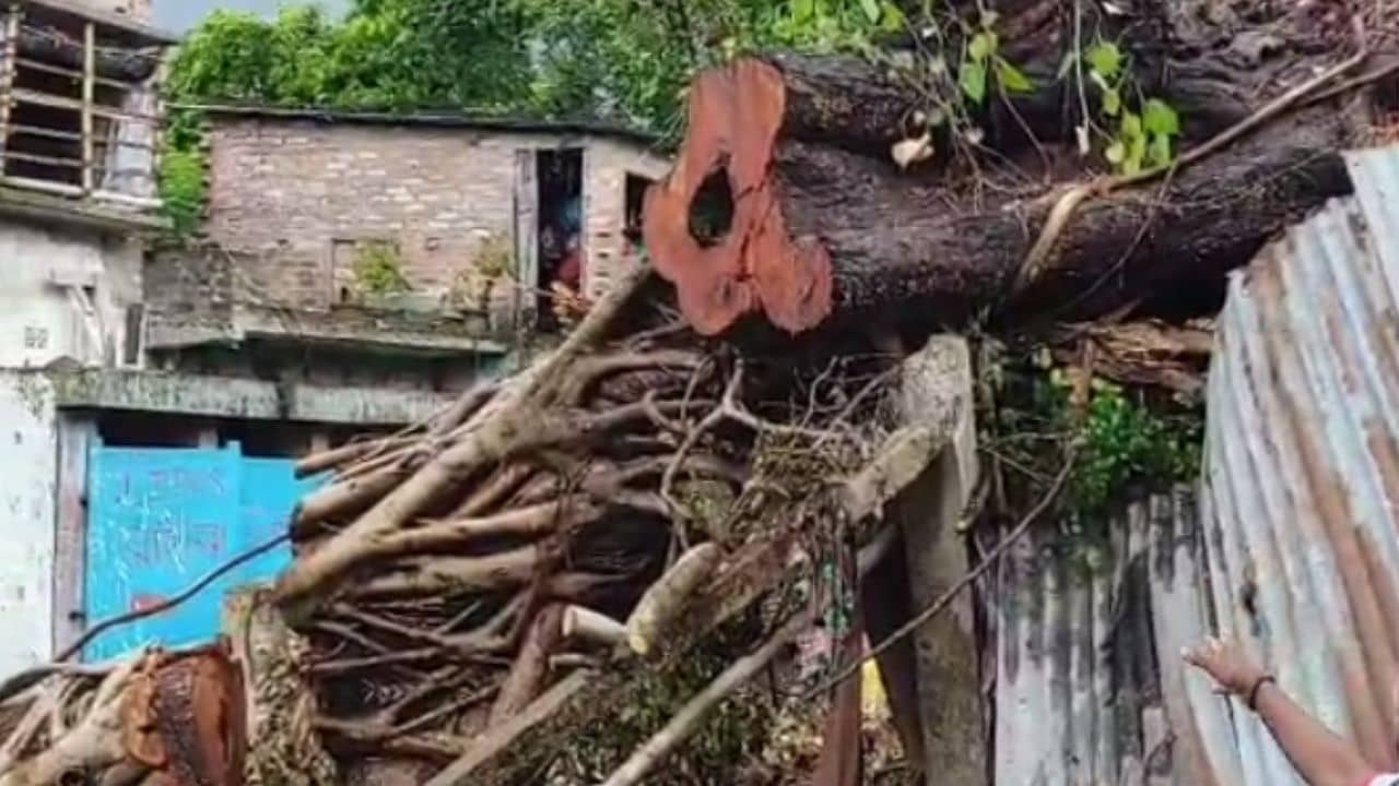 Chinsurah burning ghat: মরেও যেন শান্তি নেই! গাছ পড়ে উপড়ে গেল বিদ্যুতের খুঁটি, বন্ধ শ্মশানঘাট