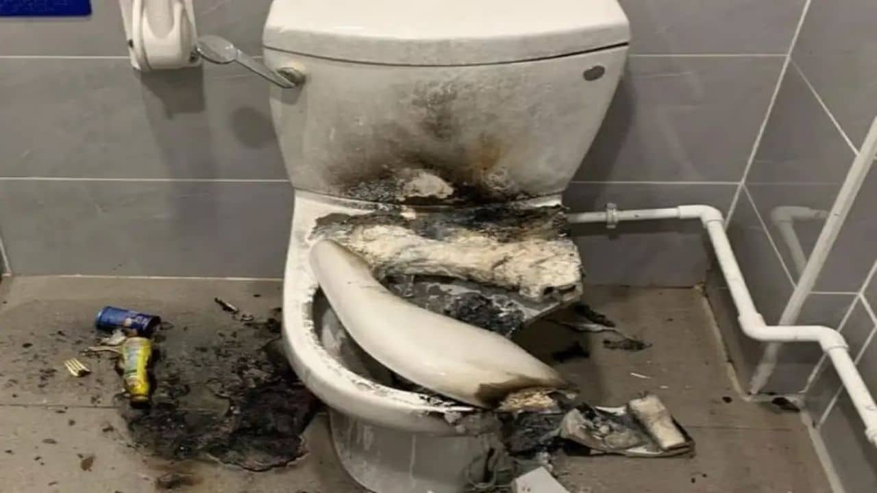 Bizarre: ফ্ল্যাশ করতে গিয়ে বিস্ফোরণ কমোড, ৩৫% ঝলসে গেলেন যুবক! জানুন কীভাবে