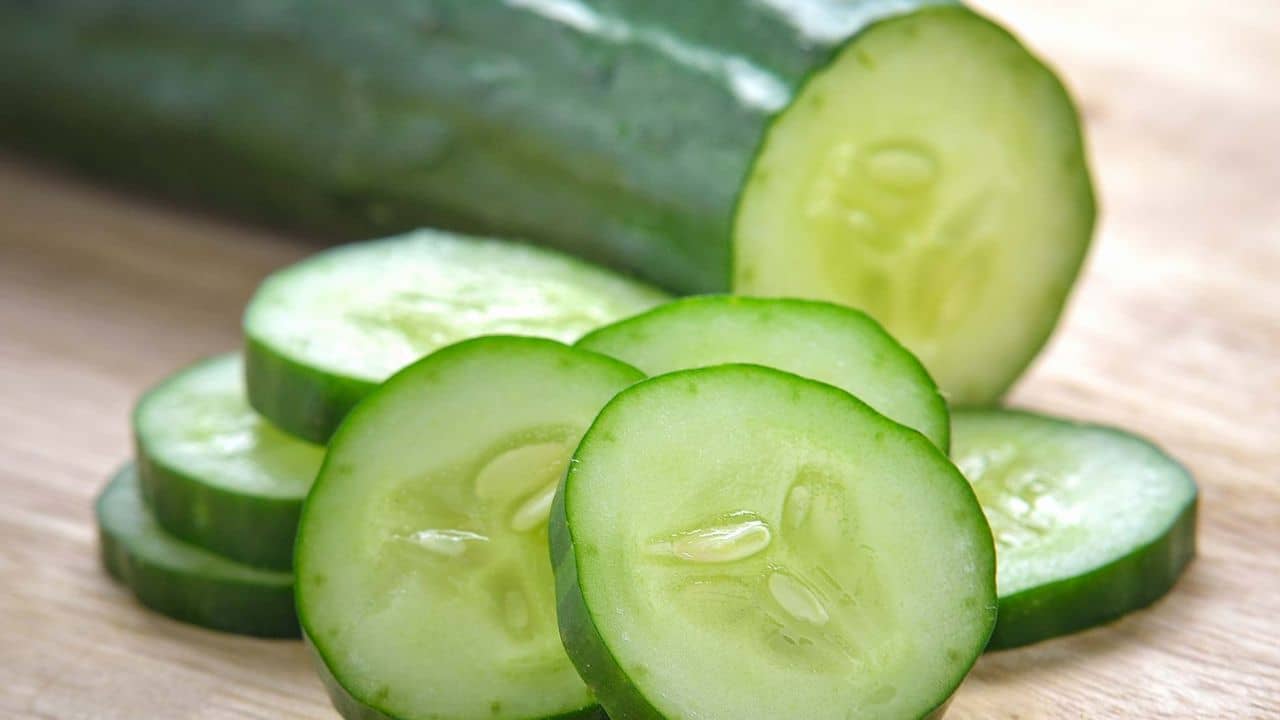 মাত্র ৫ টা শশা দিয়েই রেঁধে ফেলুন এই সুস্বাদু পদ, এক থালা ভাত নিমেষেই সাফ