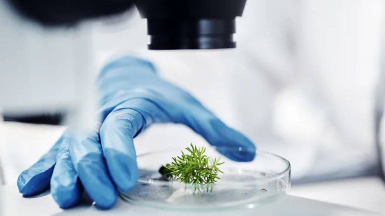 Career Tips: উচ্চ মাধ্যমিক স্তরে পরিবেশ বিজ্ঞান নিয়ে পড়ার সুযোগ করে দিচ্ছে সংসদ! কিন্তু কেন পড়বেন? তারপর কী করবেন?