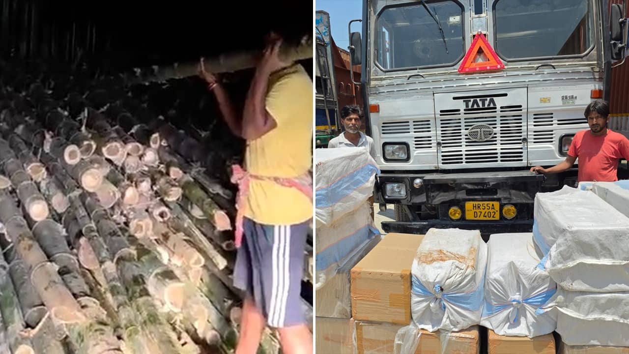 Foreign Cigarette seized: কন্টেনারে বাঁশের আড়ালে কী পাচার হচ্ছে? তল্লাশি চালাতেই চোখ ছানাবড়া পুলিশের