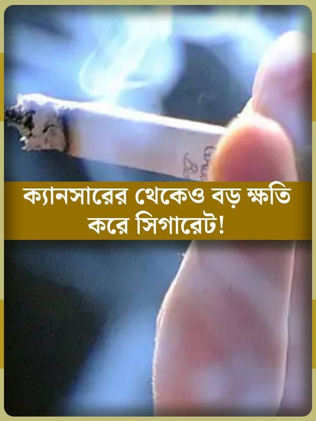 ক্যানসারের থেকেও ভয়ঙ্কর ক্ষতি করে সিগারেট! জানেন কী? ক্যানসারের থেকেও ভয়ঙ্কর ক্ষতি করে সিগারেট! জানেন কী?