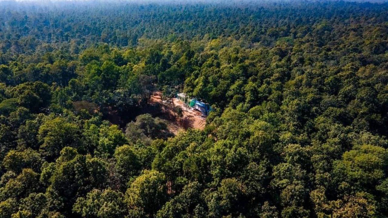 Weekend Gateway Near Kolkata: শাল-সেগুন-মহুয়ায় ঘেরা, এক অন্য জয়পুর! জানতেন এর সন্ধান?