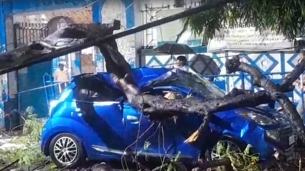 Kolkata: বেহালা থেকে বারাসত, ঝড়ের দাপটে গেল একের পর এক প্রাণ! কলকাতাতেও দিকে দিকে উপড়ে পড়ল গাছ, শিয়ালদহ শাখায় ছিঁড়ল ট্রেনের তার