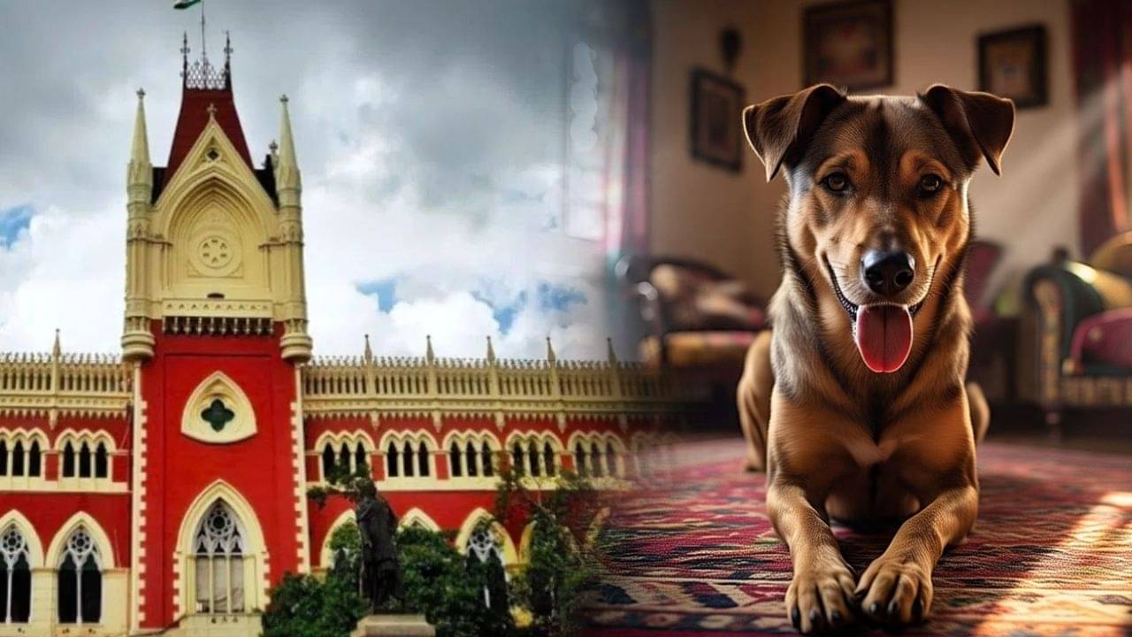 High Court: কুকুর পুষলেই হবে না, কামড়ালে দায়ও নিতে হবে, আইনের ধারা বুঝিয়ে দিল হাইকোর্ট