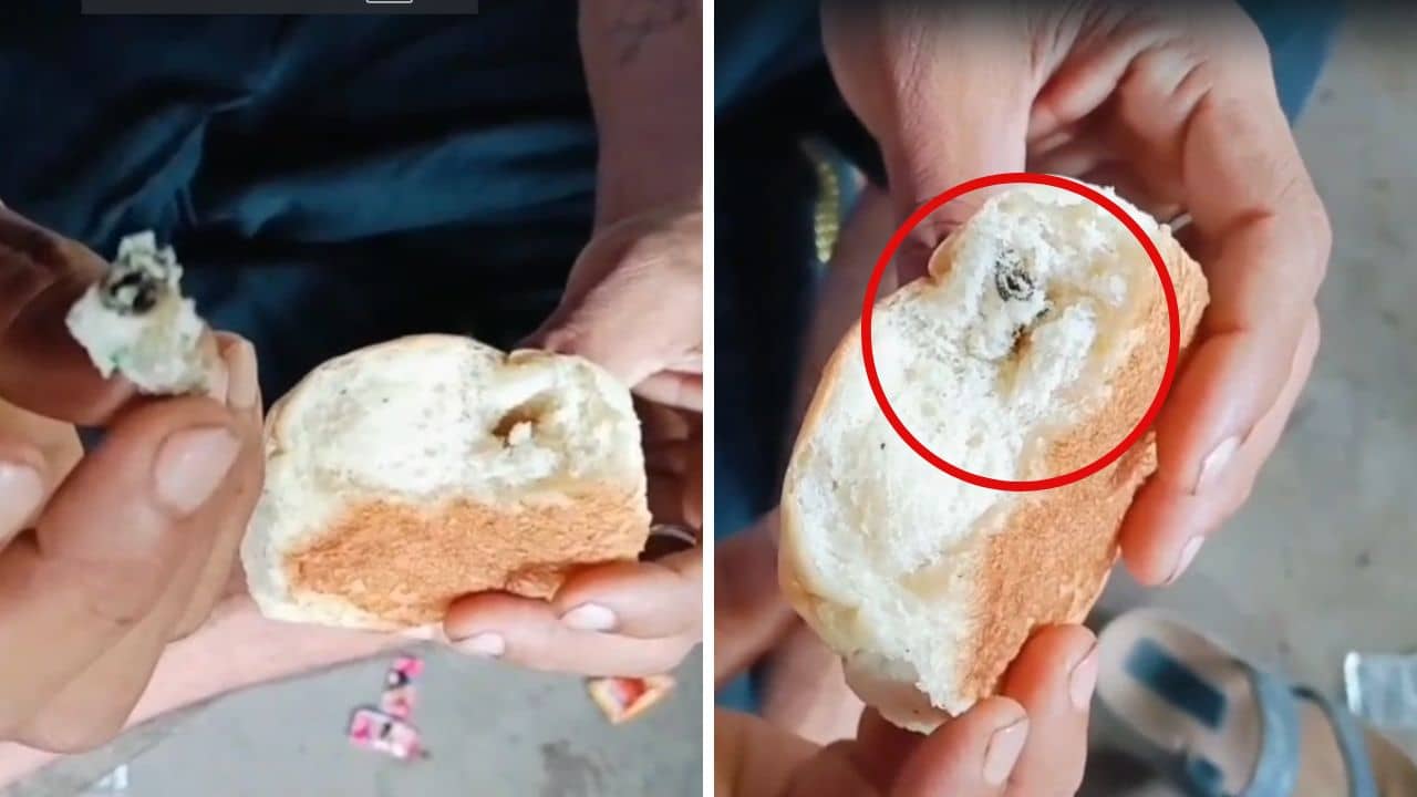 Barasat: পাঁউরুটিতে দুকামড় দিতেই বেরিয়ে এল পোড়া বিড়ি, পাড়ার দোকানে চা খেতে গিয়ে যা ঘটল..